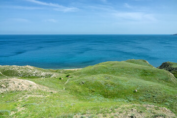 Clay-shale eroded coastal cliffs (badland), Northern Black Sea, Crimea. Forest cut down. Feodosiya low-mountain phrygana shrub-steppe landscape - cereals, astragalus, hollyhock, cruciferous, briar