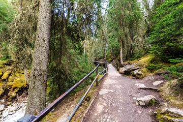 A forest path with a wooden fence and a stone walkway