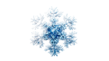Realistic detailed snowflake falling on transparent background