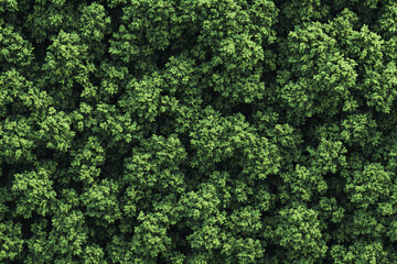 Scenic forest landscape with lush green trees and misty mountains for nature-inspired designs and environmental concepts