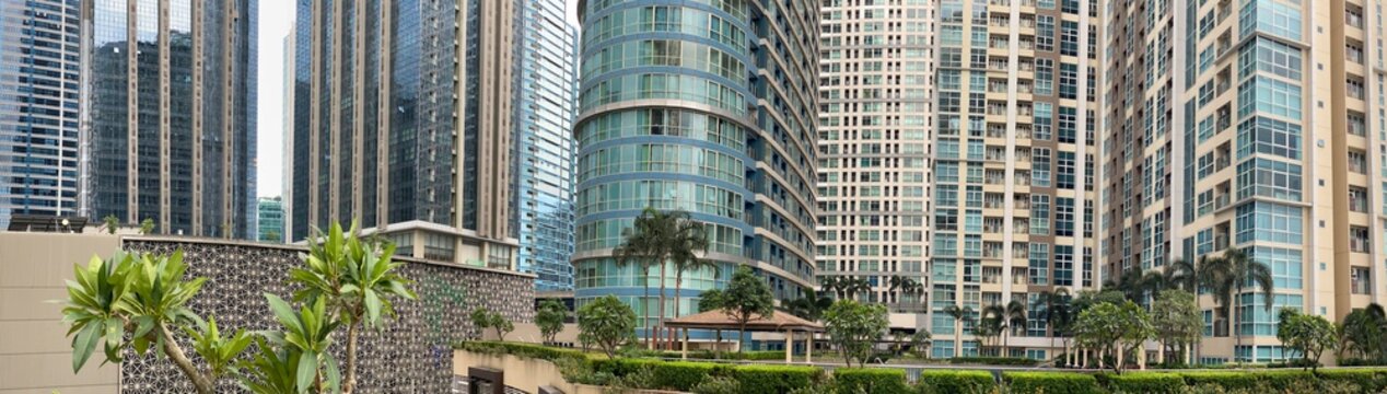 BGC, Philippines, abstract panoramic view of skyscrapers with palm trees_20241110_panorama2