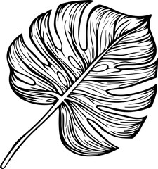 Monstera Leaf Outline Illustration