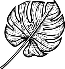 Obraz premium Monstera Leaf Outline Illustration