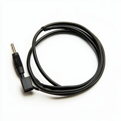 Black cable with connectors, coiled, on white.