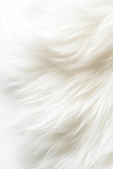 Obraz premium Soft, white, flowing, fine strands, texture.