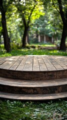 A circular wooden platform with three steps, surrounded by green grass and trees in a park.
