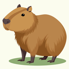 Capybara Vector Illustration