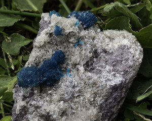 Detailed macro shot of vibrant blue cavansite crystals beautifully perched on a white mineral matrix, highlighting their unique structure and vivid color
