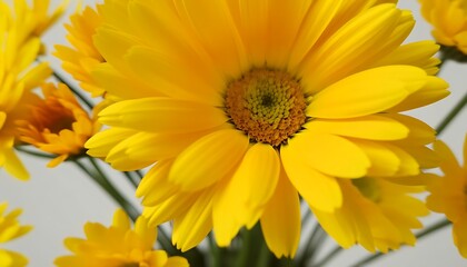 Naklejka premium Vibrant yellow petals forming a beautiful bouquet, filled with natural charm.