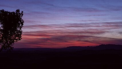 Sunset over the mountains in summer. Pink and purple cloudy sky. Olive tree silhouette