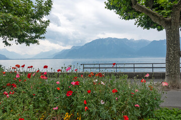 Panorama to town of Vevey, Switzerland