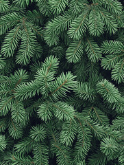 Close-up view of vibrant green evergreen branches in natural setting showcasing lush foliage and intricate texture