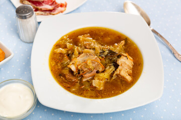 Appetizing Russian dish Shchi - sour cabbage soup served in bowl