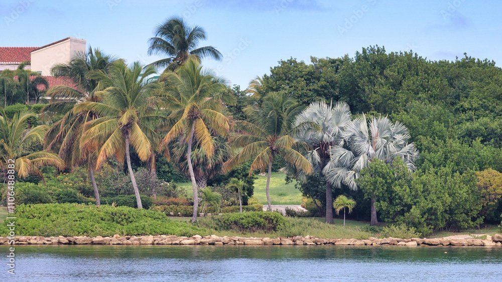 Canvas Prints Antigua