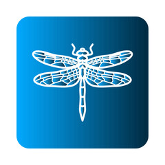 Dragonfly icon template