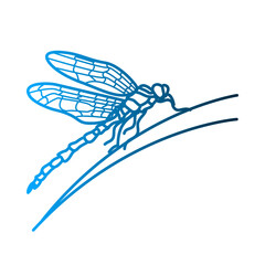 Dragonfly icon template