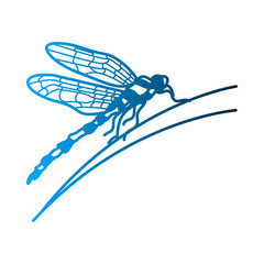 Dragonfly icon template