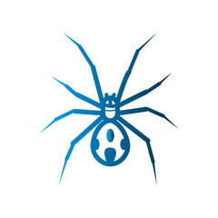 Spider icon template