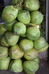 Young coconut stacked and ready for sale at a fruit stand in the Philippines in a vertical format_20241020_DSC_1543.