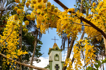 Marilia, Sao Paulo, Brazil. November 20, 2024. Santa Isabel Church, with flowering imperial cassia or yellow acacia trees. Amadeu Amaral District
