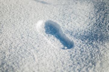 A footprint in the snow