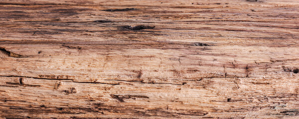 Fototapeta premium Old wood as a background thin focus part macro photo.