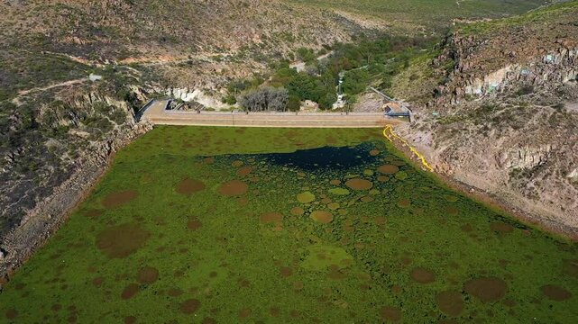 Vista a&eacute;rea de una presa con vegetaci&oacute;n emergente 