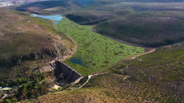 Vista a&eacute;rea de una presa con vegetaci&oacute;n emergente 