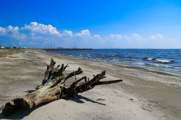 【千葉県千葉市】稲毛海岸と青空風景