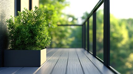 Modern Balcony with Green Plant