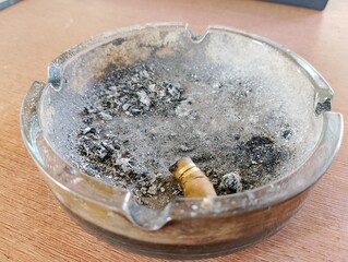cigarette in ashtray