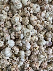 Garlic photo. agricultural products. vegetables