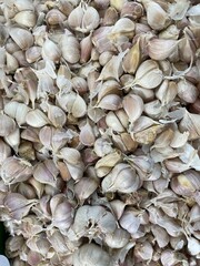Garlic photo. agricultural products. vegetables