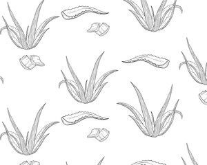 Aloe vera outlines botanic natural organic eco card  pattern 