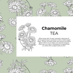 Chamomile outlines botanic natural organic eco card template 