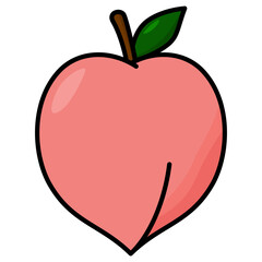 peach fruit illustration