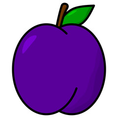 plum fruit illustration