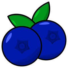 blueberry illustration