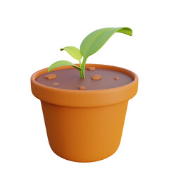 young plant growing in a pot