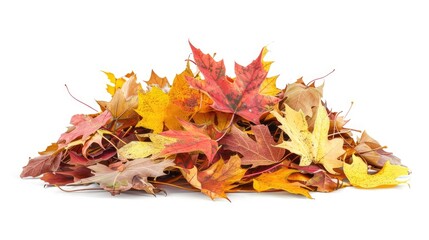 Isolated Autumn Leaf Pile with Colored Tree Leaves on White Background