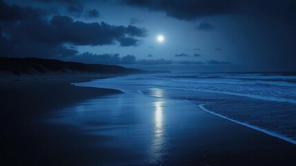 Fototapeta premium Serene Night Beach Scene with Moonlight and Gentle Waves