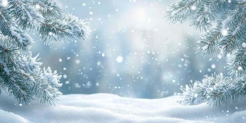 Winter Wonderland Image of Snowy Pine Branches Frosted in Soft Light and Delicate Snowflakes with Bokeh Effect