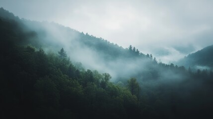 Misty mountain forest landscape with rolling hills shrouded in fog, showcasing lush green trees and a serene atmosphere.