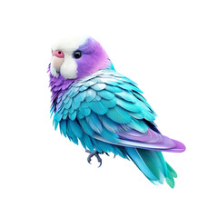 Vibrant Blue and Purple Budgie Parrot Isolated on White Background