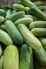 A bunch of cucumbers in the traditional market
