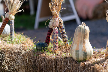 Colorful corn and a pumpkin on a bale of hay