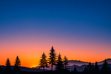 Sunset and silhouettes of trees in the mountains