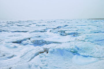 The winter sea ice