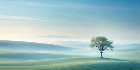 Solitary Tree Stands Tall on a Misty Morning, Its Branches Reaching for the Sky, Against a Backdrop of Gentle Rolling Hills