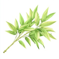 Fototapeta premium Fresh Green Bamboo Leaves on a Branch Against a Light Background, Perfect for Nature, Botanical, and Organic Themes in Design and Art Projects